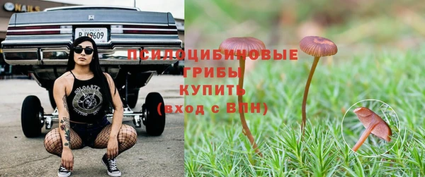трава Армянск