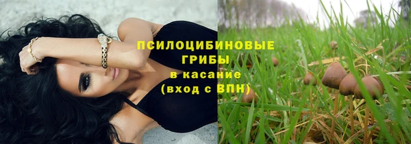 прущий лед Аркадак