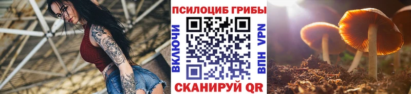 Псилоцибиновые грибы мухоморы  blacksprut рабочий сайт  Циолковский 